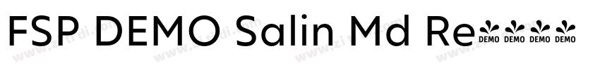 FSP DEMO Salin Md Re字体转换